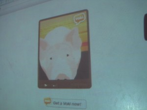 IMG_3120