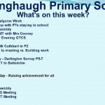 weekly diary