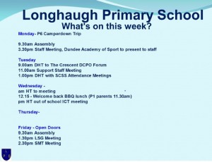 weekly diary