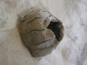 Volcano (13)